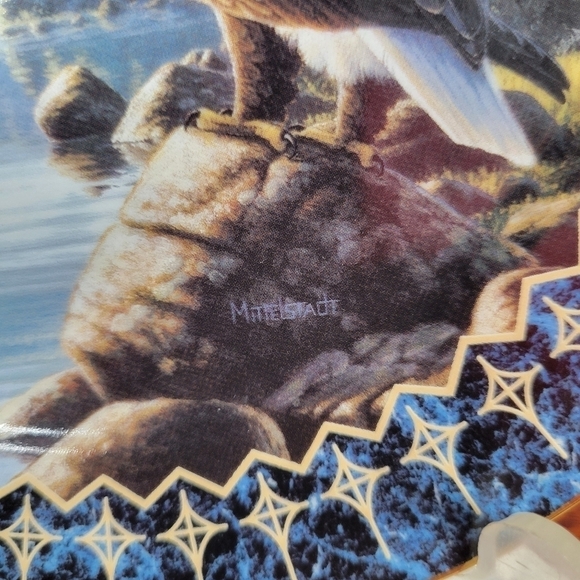 Vintage The Bradford Exchange "Pride of the Sky" by Frank Mittelstadt Plate - Picture 9 of 14